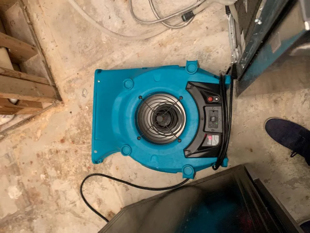 Air mover drying equipment for Mold Remediation & Removal in Raynham