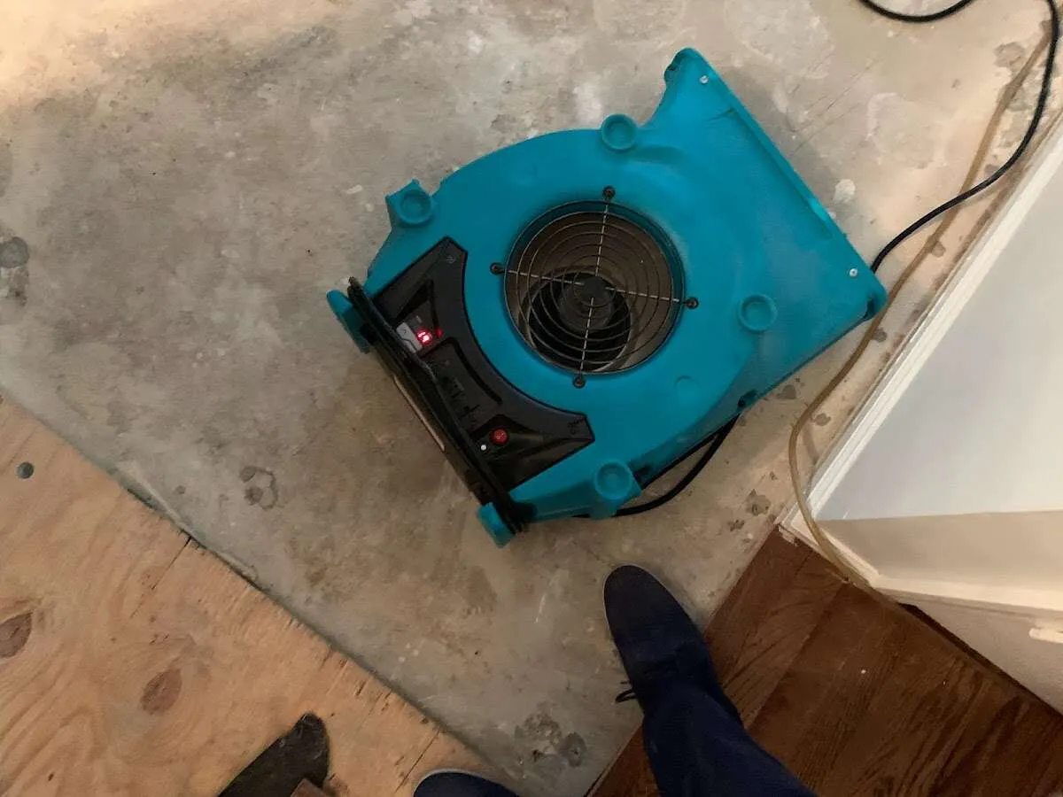 Air mover drying subfloor during Leak Detection & Repair in Raynham